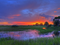 Integrated Water Quality