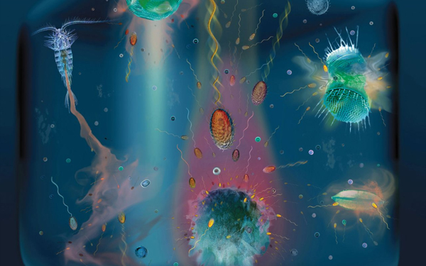 Microbial Communities