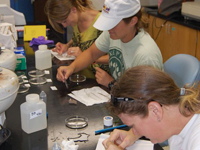 Students researching lab