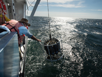 WT Hogarth research Vessel 10