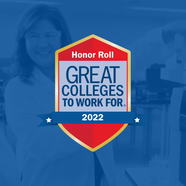 honor roll great colleges to work for 2022 badge