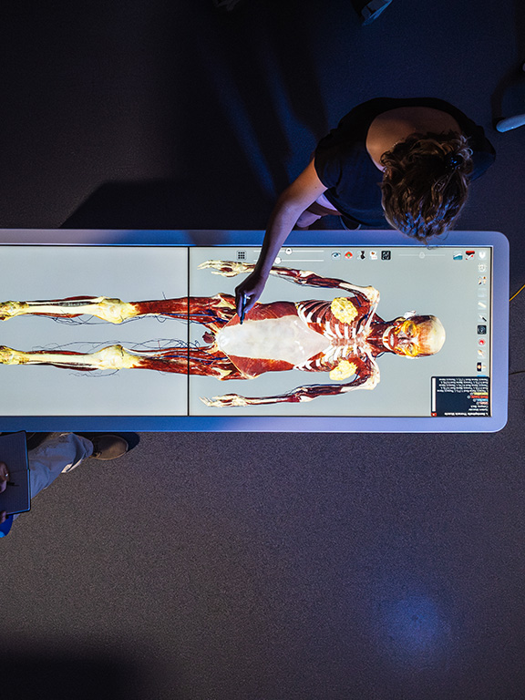 Overhead view of two students using a virtual cadaver table.