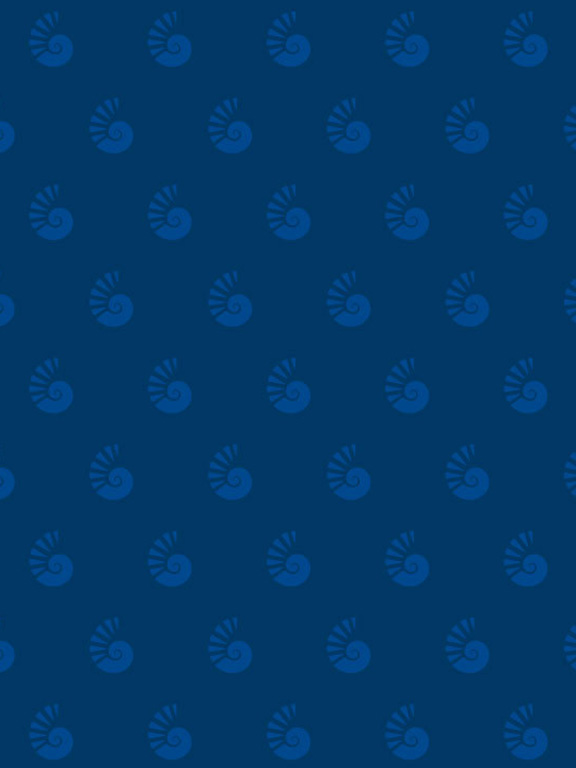 nautilus shell pattern on blue background