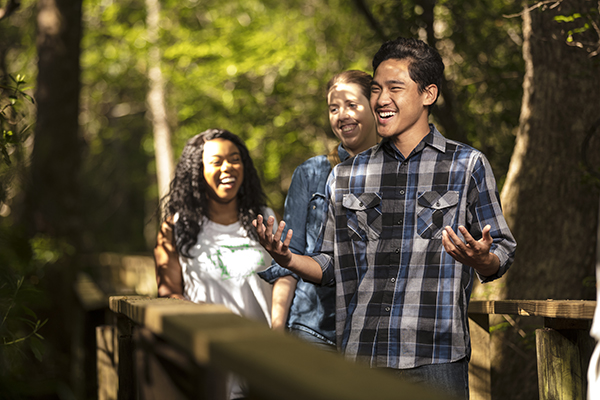 Three students walking on a boardwalk through the woods.