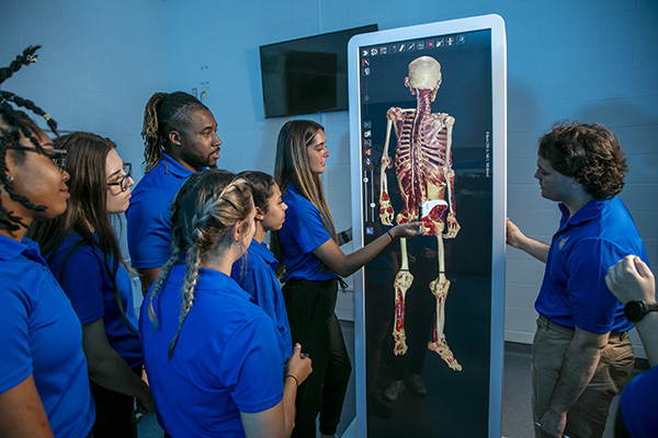 Group of students using an Anatomage virtual cadaver table.