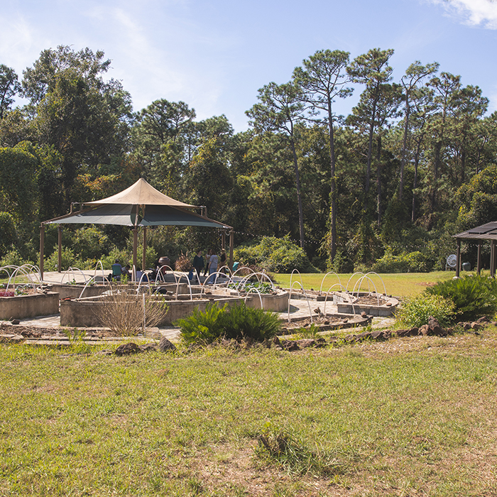 The UWF Community Garden on a sunny day