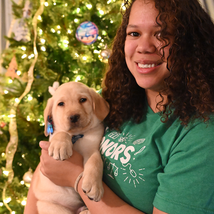 Person holding a puppy