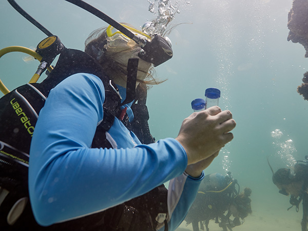 uwf scuba divers in the gulf of mexico