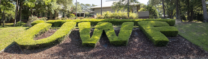 the UWF hedges at the front of campus