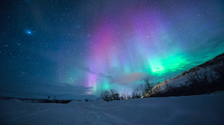 Snow covered field in Finland with the northern lights up above