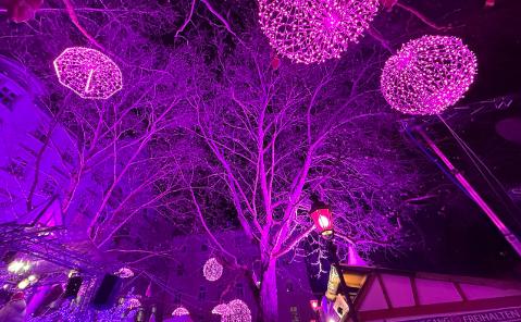 A photo of pink lights hanging from trees in an outdoor Christmas Market in Germany