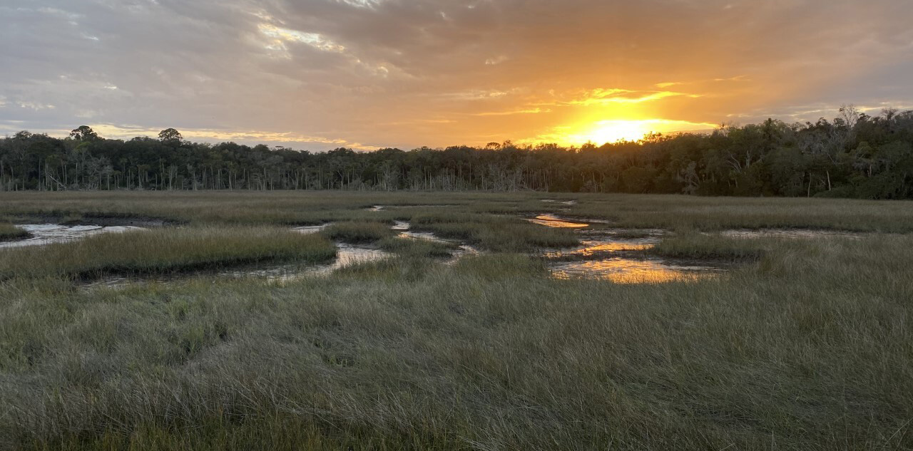 Sunset over the grassy wetlands of the Timucuan Ecological and Historical Preserve in Jacksonville