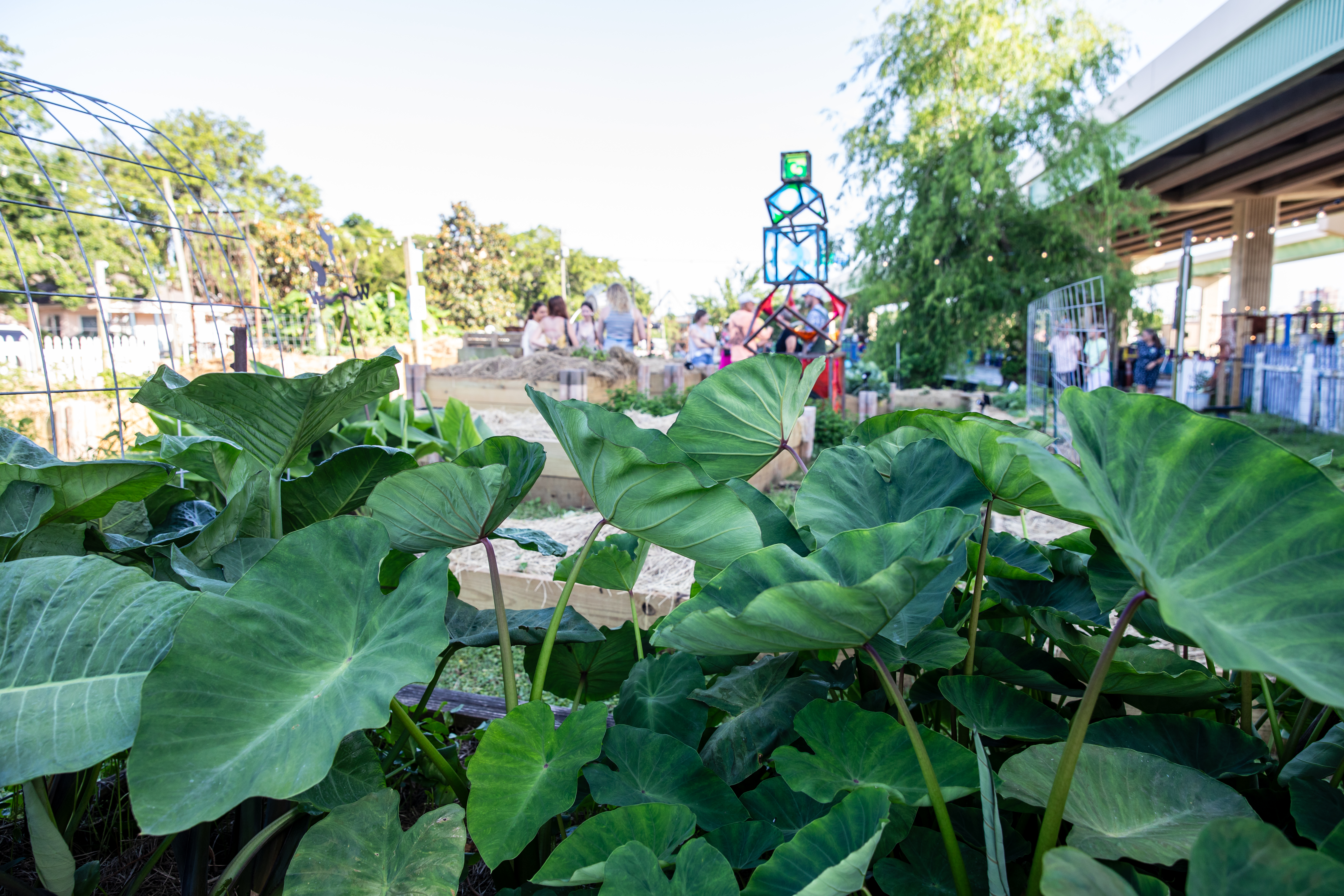 Image of foliage and UWF sculpture in background