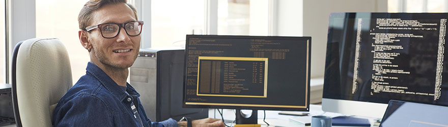 Software development employee at computer