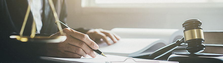 professional paralegal working on contract