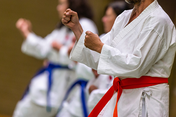 Shotokan Karate class participants in a pose