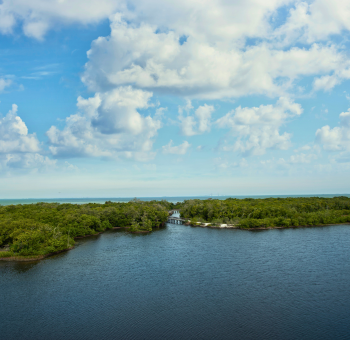 Florida wetland