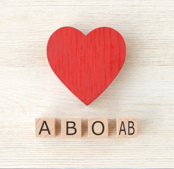 Heart with A, B, O, AB blocks under it