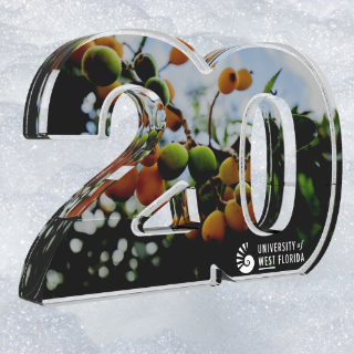 20 Year Service Award