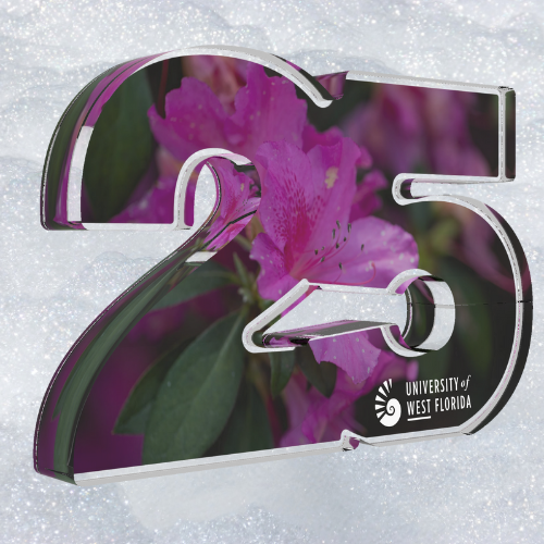 25 Year Service Award