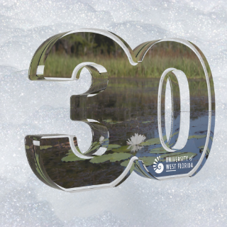 30 Year Service Award