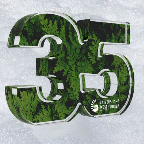 35 Year Service Award