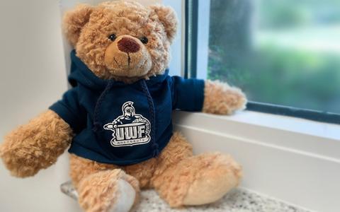UWF Teddy Bear sitting on windowsill