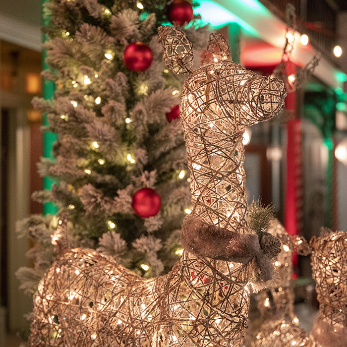 A reindeer light-up decoration outdoors in front of a lit up Christmas tree.