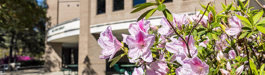 Flowers in front of the John C. Pace Library
