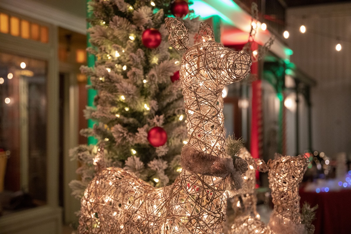 A photo of a light up reindeer and a Christmas tree.
