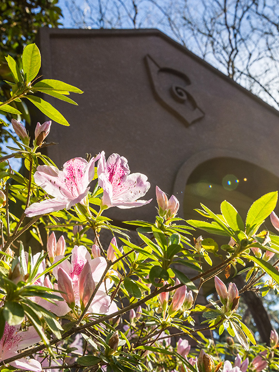 Blooming pink flowers in front of a brick archway entrance that has a nautilus shell imprint on the arch.