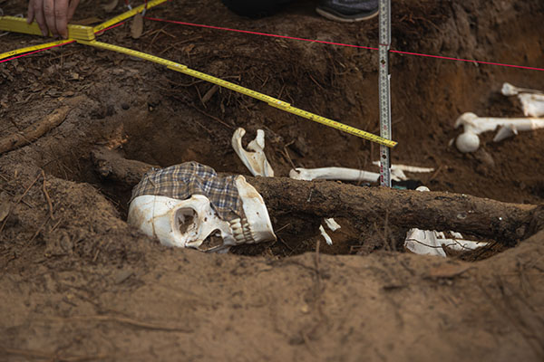 a fake skull and measuring tape at a mock crime scene
