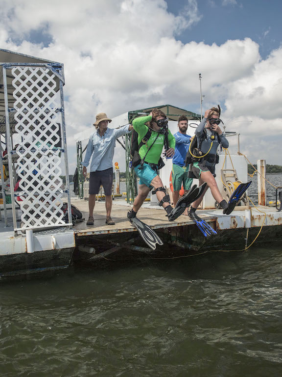 two maritime studies students jumping into the water to conduct research underwater