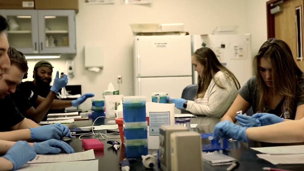 students working in a science lab
