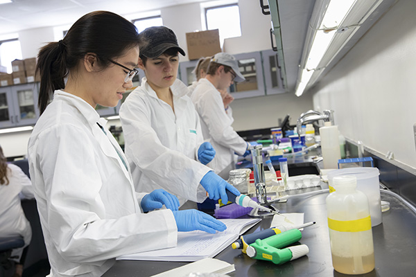 students working in a biology lab