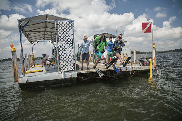 maritime studies students jumping off a dive platform wearing scuba gear
