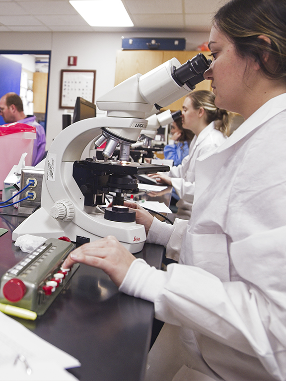 Student working in the Medical Laboratory