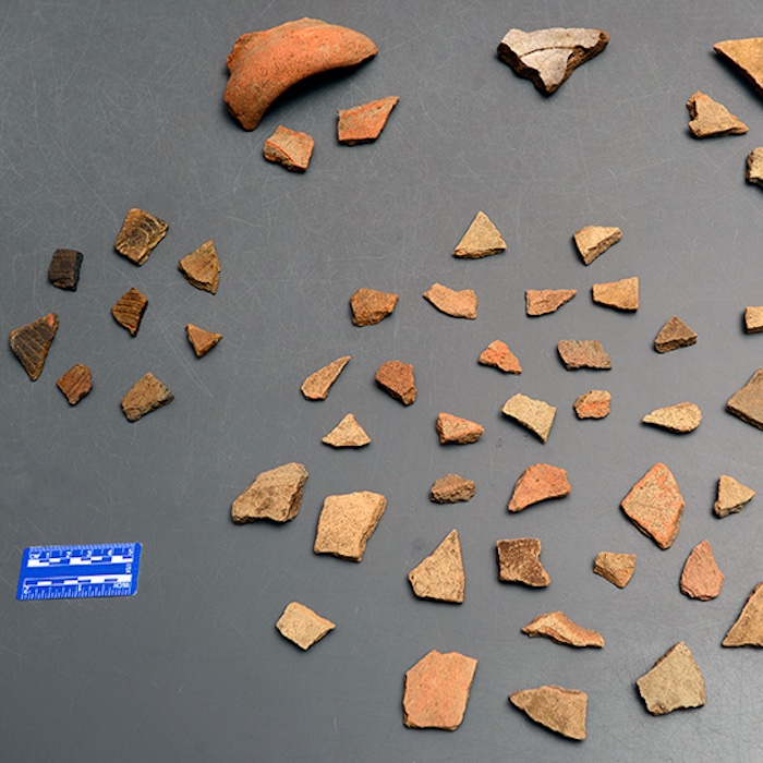 Luna settlement pottery shards