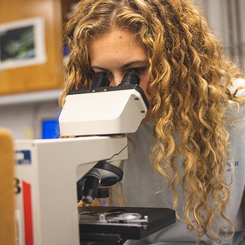 A student looking through a microscope in a classroom lab setting.