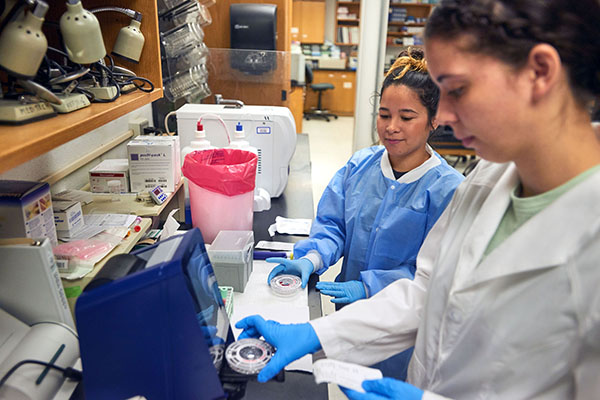Two medical laboratory students wearing lab safety attire working at a lab station in a classroom lab setting.