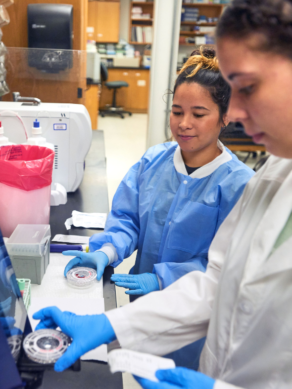 Two medical laboratory students working