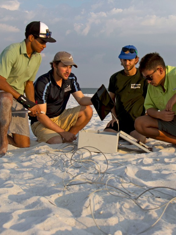 environmental sustainability students conducting studies at a beach