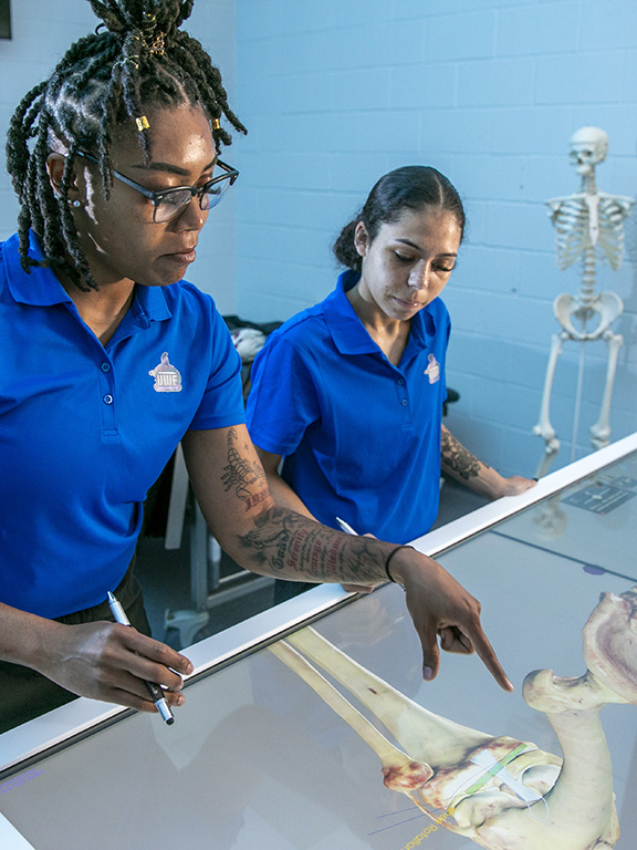 UWF students use the Anatomage virtual cadaver tables during a class