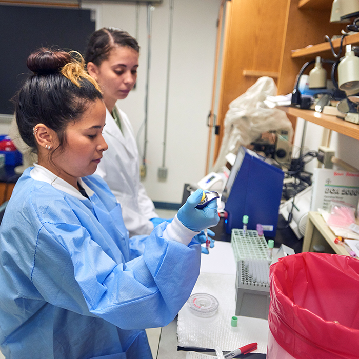 University of West Florida Medical Laboratory Sciences students work in the lab. 